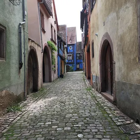 Le P'retzel & Le Sticksy Appartamento Riquewihr