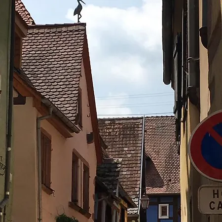 Le P'retzel&le Sticksy Riquewihr